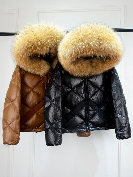 women's down parkas janveny winter puffer jacket women hooded 90 duck coat short female shiny glossy feather huge real raccoon fur 2211, Black
women's down parkas janveny winter puffer jacket women hooded 90 duck coat short female shiny glossy feather huge real raccoon fur 2211, Black