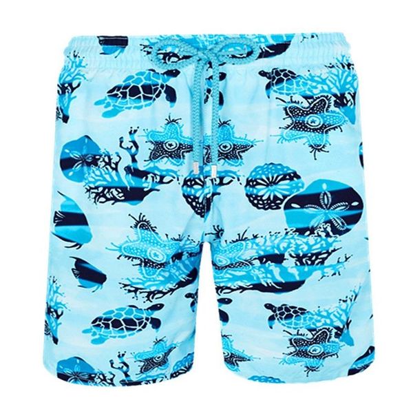 spandex shorts men swimwear herringbones summer casual shorts 6 qsce spvy, White;black
spandex shorts men swimwear herringbones summer casual shorts 6 qsce spvy, White;black