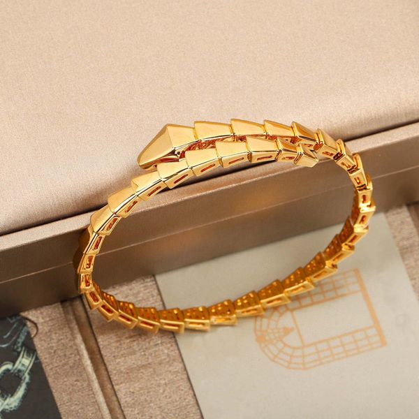 2022 luxury quality charm punk bangle in three colors plated snake shape have box stamp ps4421a, Golden;silver
2022 luxury quality charm punk bangle in three colors plated snake shape have box stamp ps4421a, Golden;silver