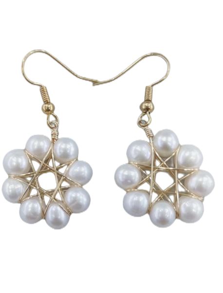 pearl earrings dangle natural freshwater pearl 5mm size gold plated gift for women jewelry fashion has personality, Silver
pearl earrings dangle natural freshwater pearl 5mm size gold plated gift for women jewelry fashion has personality, Silver