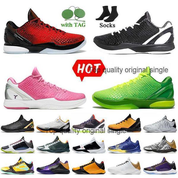 trainers basketball shoes sports sneakers red all-star grinch pink bhm playoff pack white dark knight eybl green with socks mambacita 5 6
trainers basketball shoes sports sneakers red all-star grinch pink bhm playoff pack white dark knight eybl green with socks mambacita 5 6