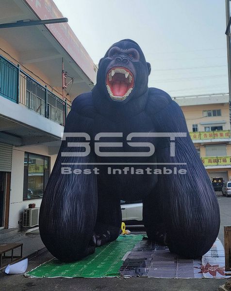 8m custom giant advertising inflatable a big the gorilla model for decoration blower up king kong plant inflatable statue
8m custom giant advertising inflatable a big the gorilla model for decoration blower up king kong plant inflatable statue