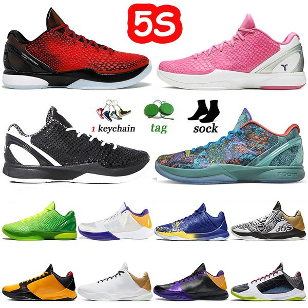 mamba 5 6 protro grinch basketball shoes 2023 men mambacita what if bruce lee big stage chaos mamba 5s 6s metallic gold black del sol mens t
mamba 5 6 protro grinch basketball shoes 2023 men mambacita what if bruce lee big stage chaos mamba 5s 6s metallic gold black del sol mens t