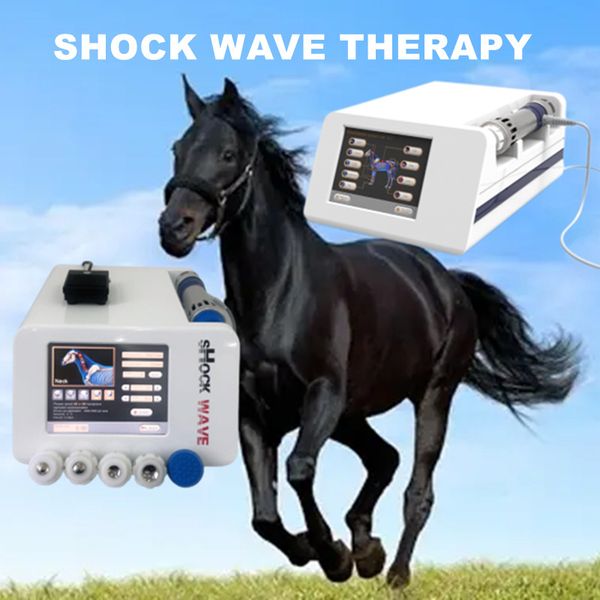 veterinary physiotherapy other health care items equine shock wave therapy equipment medical device manufacturers
veterinary physiotherapy other health care items equine shock wave therapy equipment medical device manufacturers