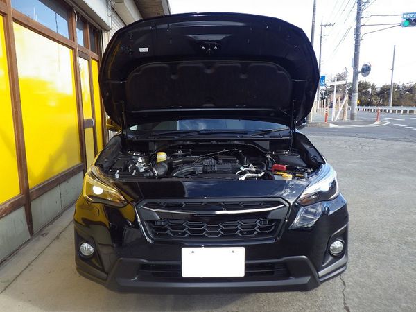 gas struts for 2017-2022 subaru xv gt and crosstrek gt suv front hood bonnet springs lift supports shock dampers absorber rod
gas struts for 2017-2022 subaru xv gt and crosstrek gt suv front hood bonnet springs lift supports shock dampers absorber rod