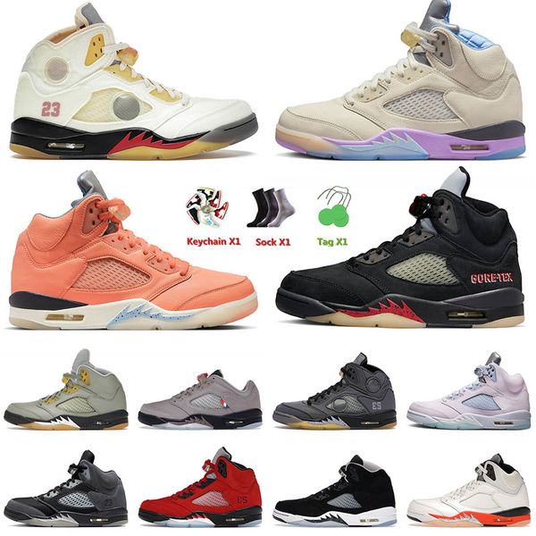 5s for 5 men basketball shoes jumpman dj khaled x sail crimson bliss expression low aqua unc bluebird what the for mens women trainers sneak
5s for 5 men basketball shoes jumpman dj khaled x sail crimson bliss expression low aqua unc bluebird what the for mens women trainers sneak
