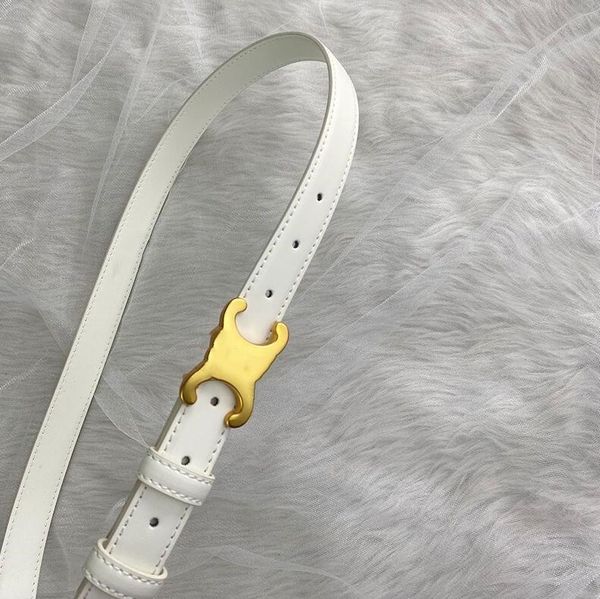 belts fashion designer genuine leather belts for womens mens casual waistband womens gold smooth buckle cowskin belt ladies ceinture girdle, Black;brown
belts fashion designer genuine leather belts for womens mens casual waistband womens gold smooth buckle cowskin belt ladies ceinture girdle, Black;brown
