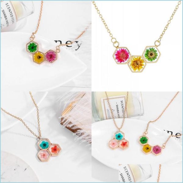 pendant necklaces dried flower resin women necklace jewelry honeycomb plated gold lady pendants necklaces alloy collarbone chain 5 1c dhuoa, Silver
pendant necklaces dried flower resin women necklace jewelry honeycomb plated gold lady pendants necklaces alloy collarbone chain 5 1c dhuoa, Silver