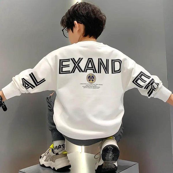 pullover spring kids boys white sweatshirts cotton long sleeve letter print for teenagers fashion children tracksuits 8 yrs 221010, Blue
pullover spring kids boys white sweatshirts cotton long sleeve letter print for teenagers fashion children tracksuits 8 yrs 221010, Blue