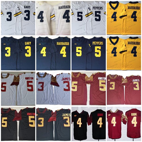 ncaa 4 dalvin cook football jersey 5 jameis winston 3 derwin james rashan gary 4 jim harbaugh 5 jabrill peppers white college mens jerseys s, Black
ncaa 4 dalvin cook football jersey 5 jameis winston 3 derwin james rashan gary 4 jim harbaugh 5 jabrill peppers white college mens jerseys s, Black