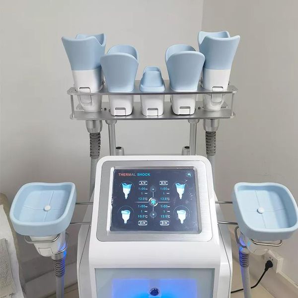 selling 7 handles 4d cool body sculpting slimming 360 cryolipolysis fat ing machine manufactory price
selling 7 handles 4d cool body sculpting slimming 360 cryolipolysis fat ing machine manufactory price