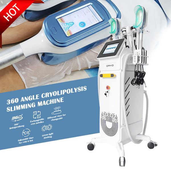 oem slimming 3 handles 360 cryo fat ing cavitation cyrolipolysis machine vertical ing weight loss instrument
oem slimming 3 handles 360 cryo fat ing cavitation cyrolipolysis machine vertical ing weight loss instrument