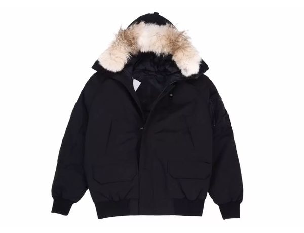 2022 men women designer down jcaket windproof outerwear suitable for extreme cold areas bomber jackets adventure coat down & parkas warm thi, Black
2022 men women designer down jcaket windproof outerwear suitable for extreme cold areas bomber jackets adventure coat down & parkas warm thi, Black