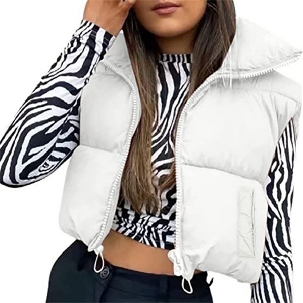 womens vests women autumn winter vest coats warm crop waistcoat harajuku vintage clothes sleeveless double sided lightweight puffer vest 221, Black;white
womens vests women autumn winter vest coats warm crop waistcoat harajuku vintage clothes sleeveless double sided lightweight puffer vest 221, Black;white