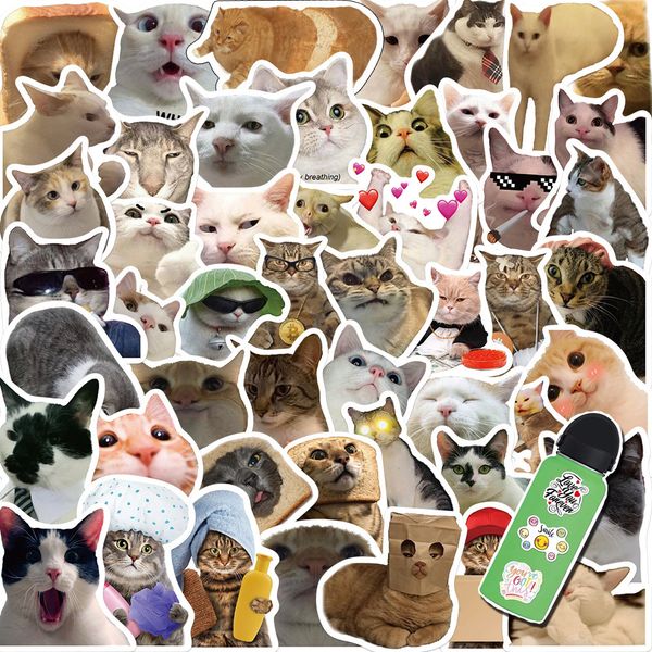 50pcs cute cats animal stickers pack for lapskateboard motorcycle decals 
50pcs cute cats animal stickers pack for lapskateboard motorcycle decals