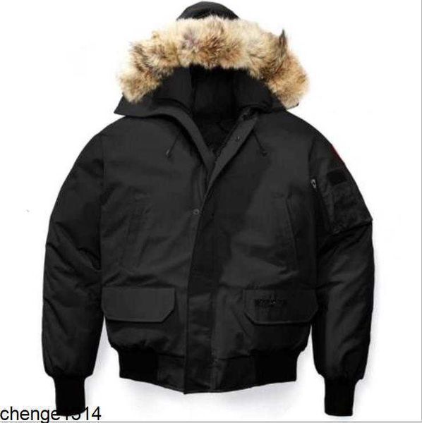 men's jackets men bomber down jacket real wolf fur hooded canvas parkas letter patch zipper pockets warm thick outwear designer women r, Black;brown
men's jackets men bomber down jacket real wolf fur hooded canvas parkas letter patch zipper pockets warm thick outwear designer women r, Black;brown