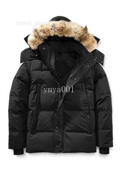fourrure men's winter down parkas parka homme jassen chaquetas outerwear big fur hooded manteau jacket coat hiver doudoune 2yn7x, Black
fourrure men's winter down parkas parka homme jassen chaquetas outerwear big fur hooded manteau jacket coat hiver doudoune 2yn7x, Black