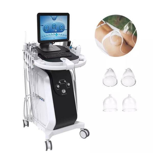 latest 15 in 1 hydro micdermabrasion aqua dermabrasion beauty machine water peeling hydro dermabrasioin breast enhance apparatus
latest 15 in 1 hydro micdermabrasion aqua dermabrasion beauty machine water peeling hydro dermabrasioin breast enhance apparatus