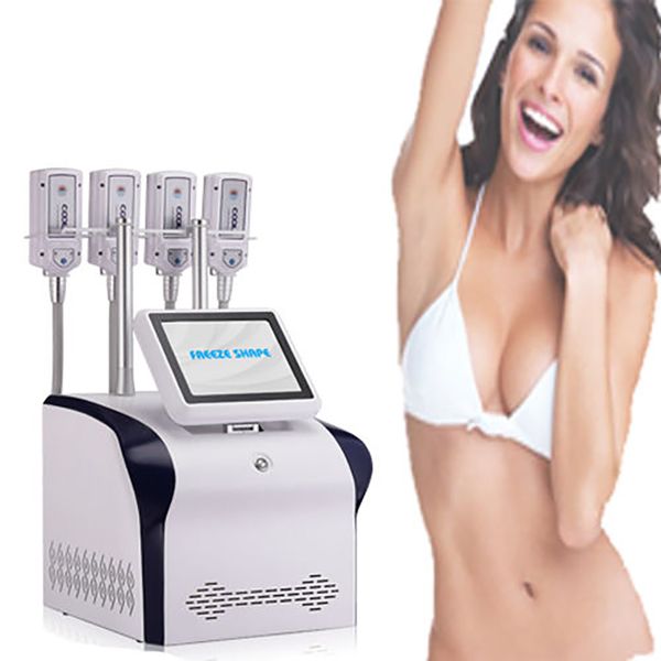 cellulite removal cryolipolyse plates machine cryolipolysis slimming cryotherapy machine
cellulite removal cryolipolyse plates machine cryolipolysis slimming cryotherapy machine