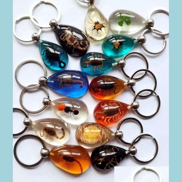 key rings 15 pcs real scorpion spider crab ant four leaf clover drop shaped amber resin keychain taxidermy oddity insect encased del dhx0e, Slivery;golden
key rings 15 pcs real scorpion spider crab ant four leaf clover drop shaped amber resin keychain taxidermy oddity insect encased del dhx0e, Slivery;golden