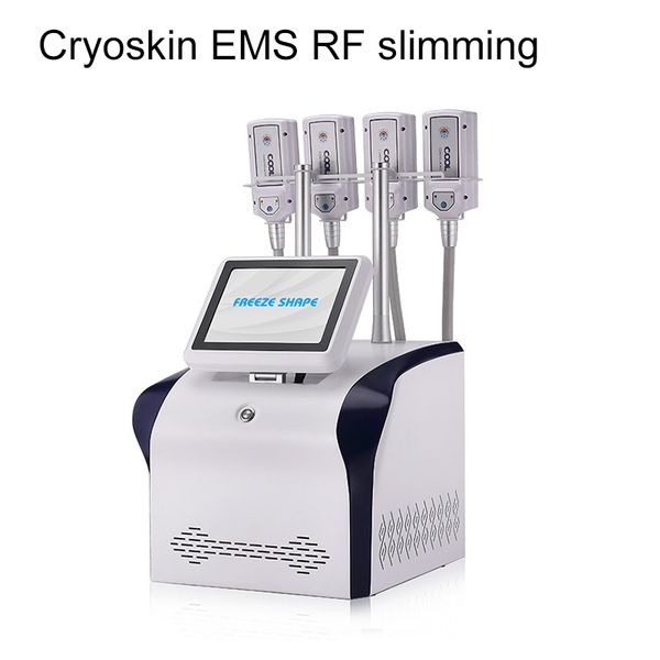 3 in 1 cryoskin ems rf cryolipolysis fat e slimming machine cryo lipo beauty equipment
3 in 1 cryoskin ems rf cryolipolysis fat e slimming machine cryo lipo beauty equipment