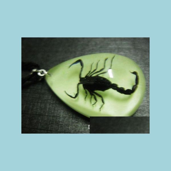 pendant necklaces yqtdmy 12 pcs insect fashion scorpion pendant style luminous small adorn article drop delivery 2022 jewelry neckla dhhqg, Silver
pendant necklaces yqtdmy 12 pcs insect fashion scorpion pendant style luminous small adorn article drop delivery 2022 jewelry neckla dhhqg, Silver