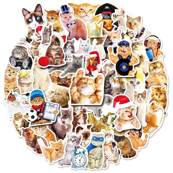 50pcs cute cat animal stickers for kids teens vinyl waterproof sticker for lapbumper skateboard water bottles computer phone bp-317
50pcs cute cat animal stickers for kids teens vinyl waterproof sticker for lapbumper skateboard water bottles computer phone bp-317
