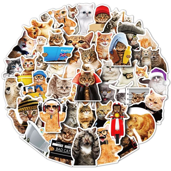 50pcs cute cat animal stickers for kids teens vinyl waterproof sticker for lapbumper skateboard water bottles computer phone bp-269
50pcs cute cat animal stickers for kids teens vinyl waterproof sticker for lapbumper skateboard water bottles computer phone bp-269