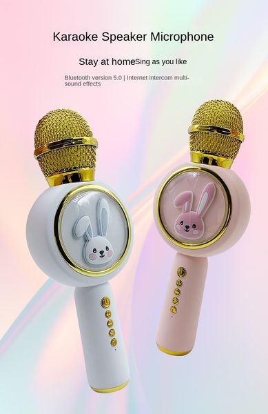 professional bluetooth wireless microphone speaker handheld karaoke mic music player singing recorder ktv microphones for iphone type-c
professional bluetooth wireless microphone speaker handheld karaoke mic music player singing recorder ktv microphones for iphone type-c