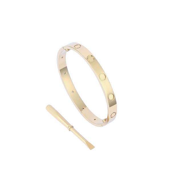 bracelets designers fashion love bangle luxury jewelry for men women plated silver gifts aesthetic pack teen girls wedding screw femme cjewe, Black
bracelets designers fashion love bangle luxury jewelry for men women plated silver gifts aesthetic pack teen girls wedding screw femme cjewe, Black