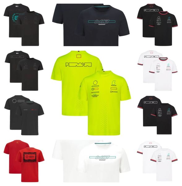 f1 racing suit 2022 special edition team suit plus size custom quick-drying t-shirt
f1 racing suit 2022 special edition team suit plus size custom quick-drying t-shirt