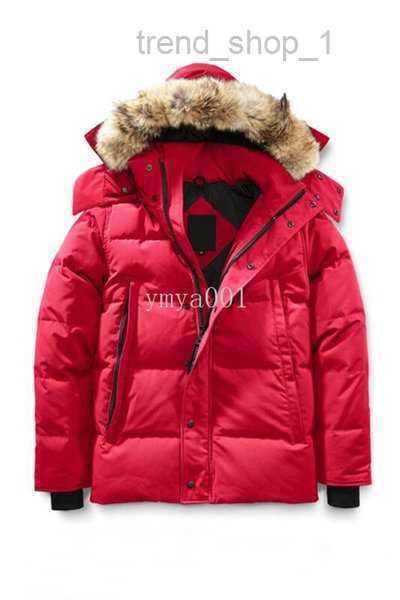 canada down parkas winter fourrure parka homme jassen chaquetas outerwear big fur hooded manteau jacket coat hiver doudoune goose 3 x7aw, Black
canada down parkas winter fourrure parka homme jassen chaquetas outerwear big fur hooded manteau jacket coat hiver doudoune goose 3 x7aw, Black