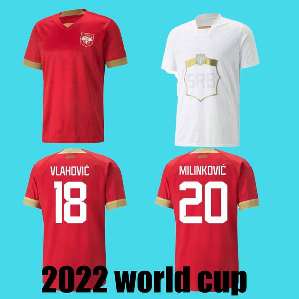 2022 2023 serbia national team soccer jerseys jovic kostic llic lukic pavlovic djuricic radonjic tadic vlahovic a.mitrovic serbien 22 23 foo, Black;yellow
2022 2023 serbia national team soccer jerseys jovic kostic llic lukic pavlovic djuricic radonjic tadic vlahovic a.mitrovic serbien 22 23 foo, Black;yellow