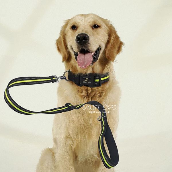 pet collar leashes set with comfortable padded collar and handle night reflective lines ps21
pet collar leashes set with comfortable padded collar and handle night reflective lines ps21