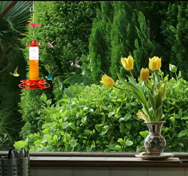 300ML Bird Feeder Drinker Hanging Honey Water Bird Feeder Anti-ants Leakproof Hummingbird Drinker for Home Garden Feeding Supply
300ML Bird Feeder Drinker Hanging Honey Water Bird Feeder Anti-ants Leakproof Hummingbird Drinker for Home Garden Feeding Supply