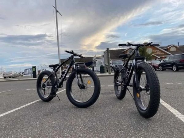 Mountain Bike Outroad Fat Tire Mountain Bike Inch Wheels Speed With High Carbon Steel Frame Double Disc Brake Anti-Slip Bikes Road Carbon /