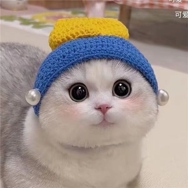 Cute Refined Cat Hat Elastic Autumn Winter Pet Hat Puppy Kittens Knitted Hat Party Photo Shoot Props Decoration Cat Accessories, Pure red
Cute Refined Cat Hat Elastic Autumn Winter Pet Hat Puppy Kittens Knitted Hat Party Photo Shoot Props Decoration Cat Accessories, Pure red