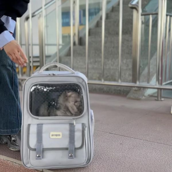 Beni Pet Versatile Breathing Pet Out Bag Spacious Dual Straps Suitable For Travel And Daily Use, Green
Beni Pet Versatile Breathing Pet Out Bag Spacious Dual Straps Suitable For Travel And Daily Use, Green