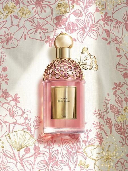 High Popularity Bra…