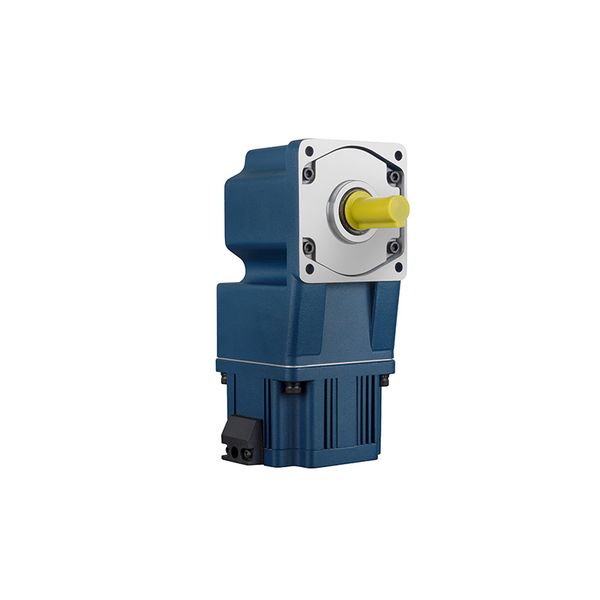 100mm-300W DC24/48V AC110V/220V Reduction Ratio 1:3-500 Right Angle(Solid) DC Gear Reducer Motor&gearbox