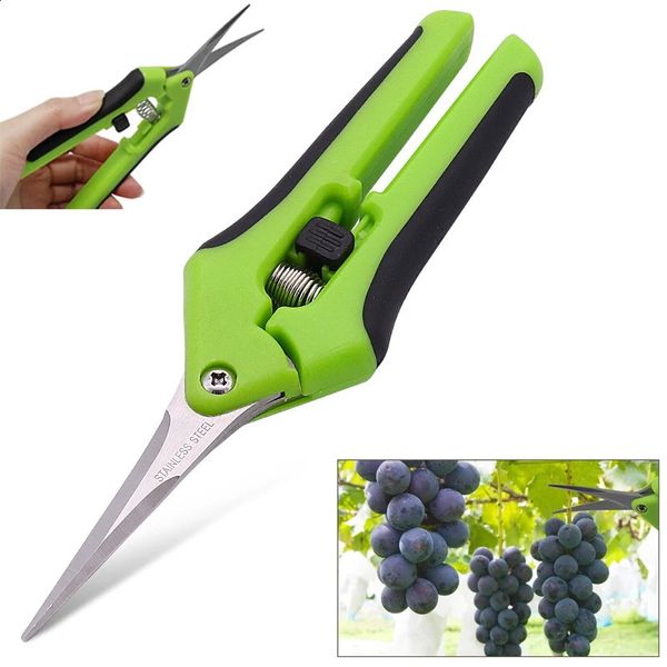 6.5-inch gardening shears hand trimming shears trimming shears with straight stainless steel blades suitable for plants 250228BJ