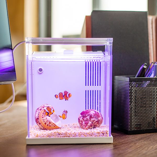 Qianrui New Product BZ-145C Office and Home Desktop Backfilter Freshwater Seawater Version Mini Small Fish Tank 250115
Qianrui New Product BZ-145C Office and Home Desktop Backfilter Freshwater Seawater Version Mini Small Fish Tank 250115