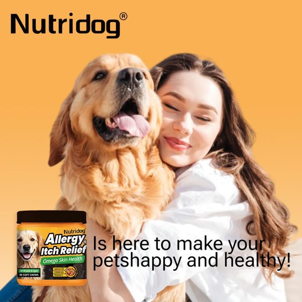 Dog Allergy And Itc… - image