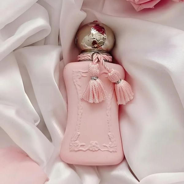 Hot Sell Perfume Paris Brand Valaya Perfume Woman Sexy Fragrance Spray Oriana Delina Sedbury Cassili Meliora Darcy EDP Rosee Parfums Royal Essence Fast Shipping
Hot Sell Perfume Paris Brand Valaya Perfume Woman Sexy Fragrance Spray Oriana Delina Sedbury Cassili Meliora Darcy EDP Rosee Parfums Royal Essence Fast Shipping