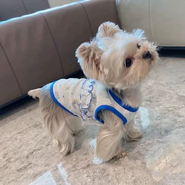 T00196 Bi Xin Pet D…