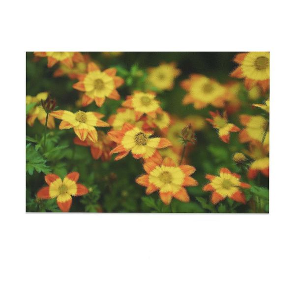 Home Decor Luxury C…