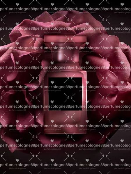 2024 Man Woman Cologne Fragrance Eau De Parfum Spray Designer High quality Perfumes Pleasant Fragrances Wholesale Fast delivery 2 37
2024 Man Woman Cologne Fragrance Eau De Parfum Spray Designer High quality Perfumes Pleasant Fragrances Wholesale Fast delivery 2 37