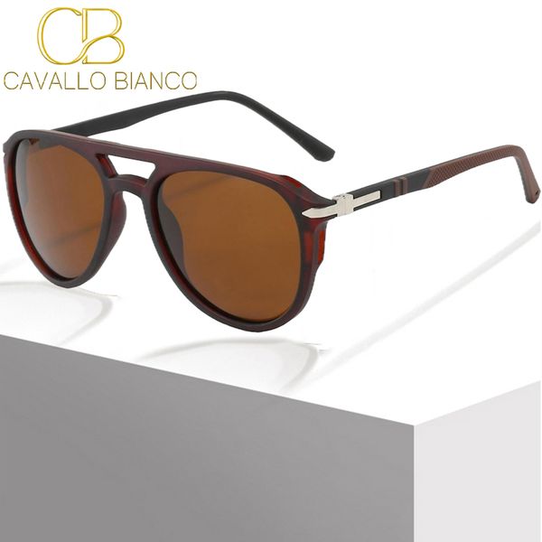 Pilot Polarized Sun…