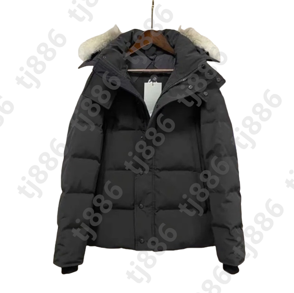 Designer Down Puffe…