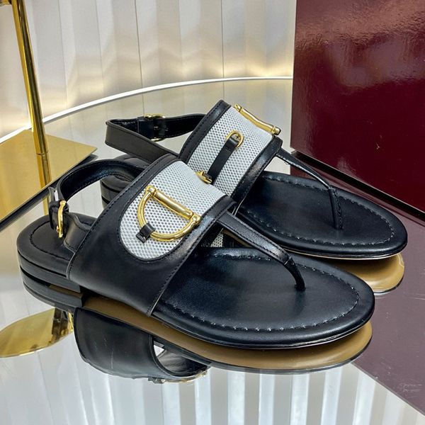 2025 Sandal Transpa… - image